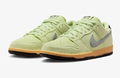 Nike SB Dunk Low Pro Skate Shoes – Light Liquid Lime