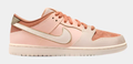 Nike SB Dunk Low Pro Premium Skate Shoes – Trocadero