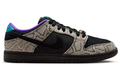 Nike SB Dunk Low x Dashawn Jordan Skate Shoes – Copperhead